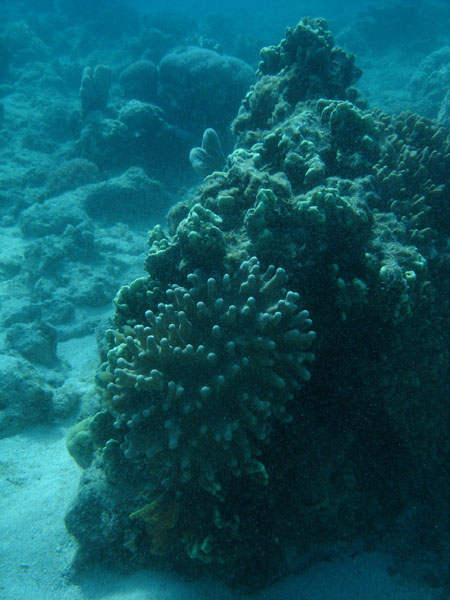 DSC06867